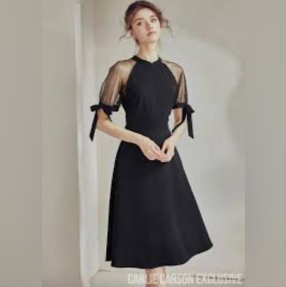 NWT Carlie Carson Little Black Dress Size 4